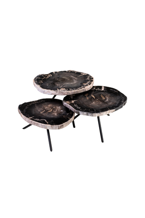Petrified Wood Coffee Table Set (3) | Versmissen | Oroa.com