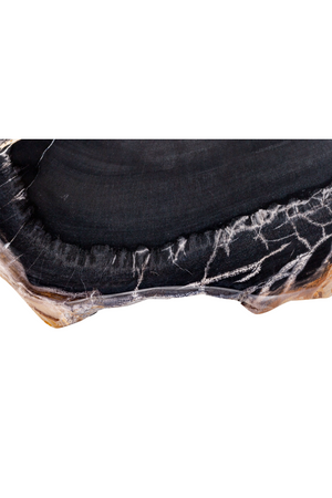 Petrified Wood Coffee Table Set (3) | Versmissen | Oroa.com