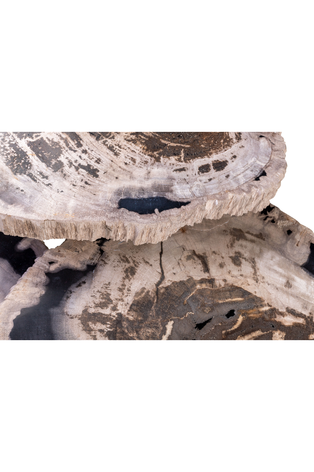 Petrified Wood Coffee Table Set (3) | Versmissen | Oroa.com