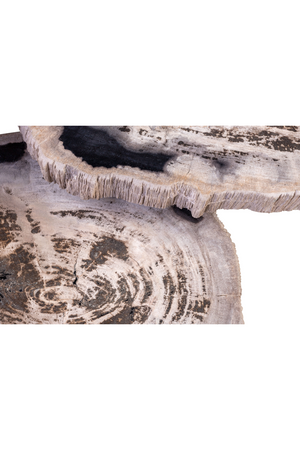 Petrified Wood Coffee Table Set (3) | Versmissen | Oroa.com
