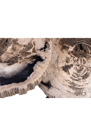Petrified Wood Coffee Table Set (3) | Versmissen | Oroa.com