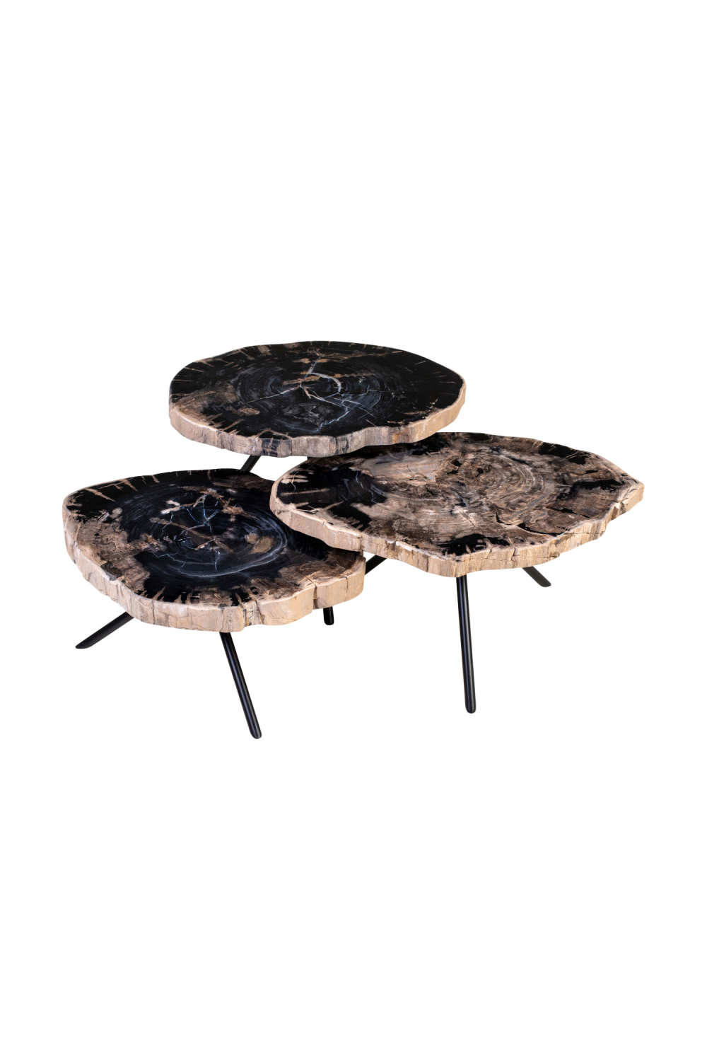 Petrified Wood Coffee Table Set (3) | Versmissen | Oroa.com