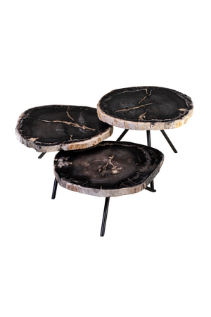 Petrified Wood Coffee Table Set (3) | Versmissen | Oroa.com