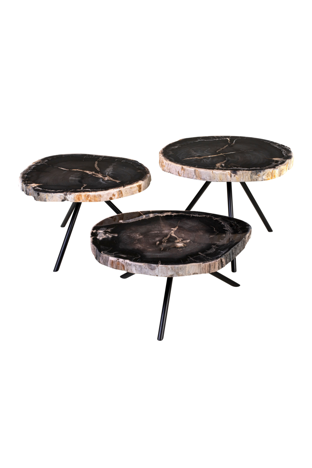 Petrified Wood Coffee Table Set (3) | Versmissen | Oroa.com