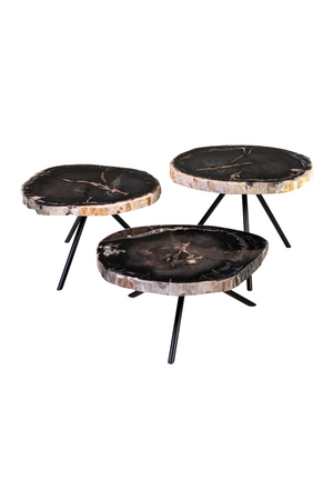 Petrified Wood Coffee Table Set (3) | Versmissen | Oroa.com