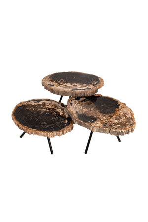 Petrified Wood Coffee Table Set (3) | Versmissen | Oroa.com