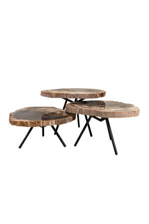 Petrified Wood Coffee Table Set (3) | Versmissen | Oroa.com