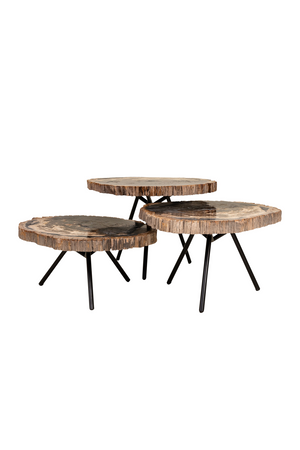 Petrified Wood Coffee Table Set (3) | Versmissen | Oroa.com