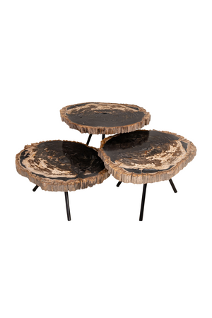 Petrified Wood Coffee Table Set (3) | Versmissen | Oroa.com