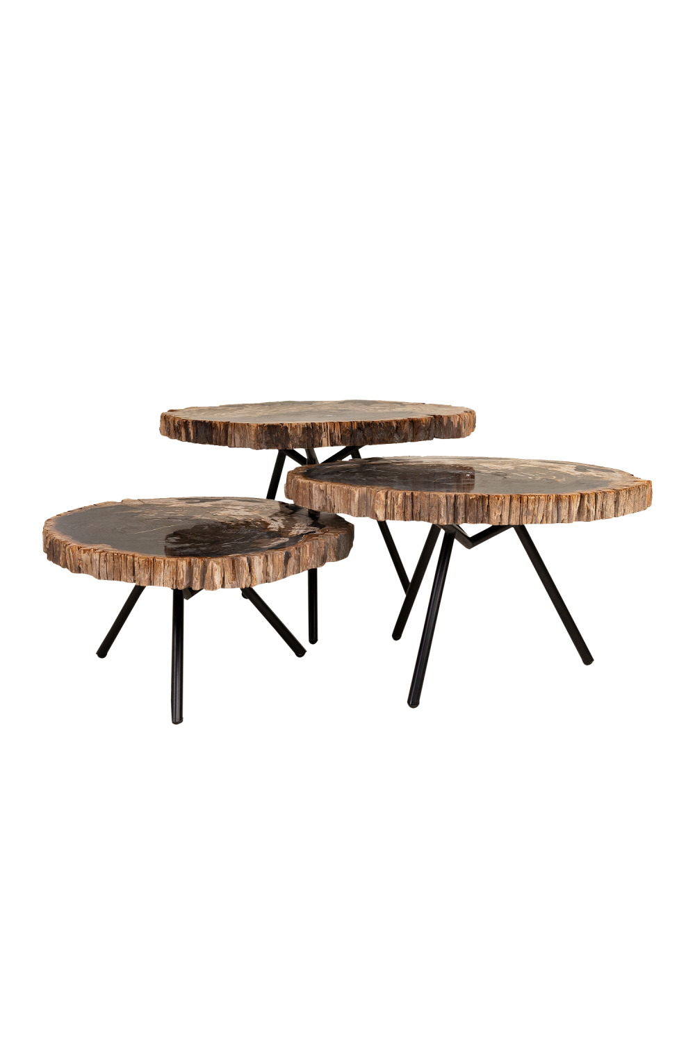 Petrified Wood Coffee Table Set (3) | Versmissen | Oroa.com