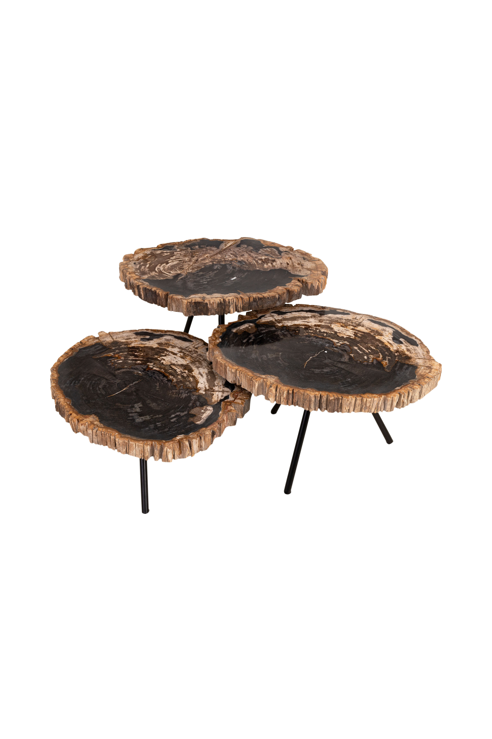 Petrified Wood Coffee Table Set (3) | Versmissen | Oroa.com
