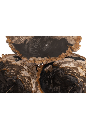 Petrified Wood Coffee Table Set (3) | Versmissen | Oroa.com
