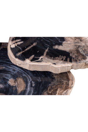 Petrified Wood Coffee Table Set (3) | Versmissen | Oroa.com