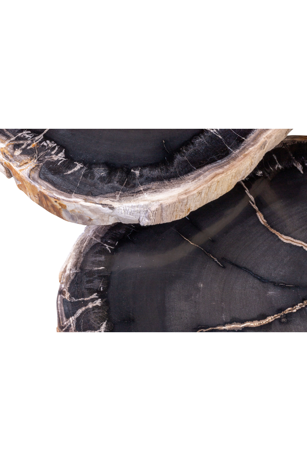 Petrified Wood Coffee Table Set (3) | Versmissen | Oroa.com