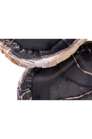 Petrified Wood Coffee Table Set (3) | Versmissen | Oroa.com