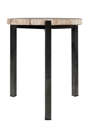 Petrified Wood Occasional Table | Versmissen | Oroa.com