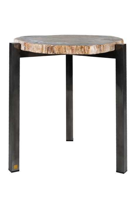 Petrified Wood Occasional Table | Versmissen | Oroa.com