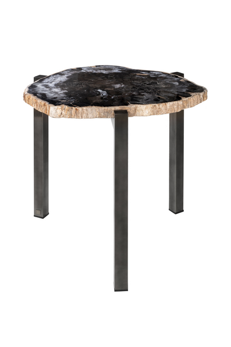 Petrified Wood Occasional Table | Versmissen | Oroa.com