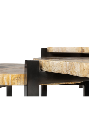 Petrified Wood Nested Coffee Tables (3) | Versmissen | Oroa.com