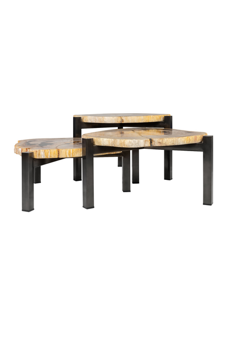 Petrified Wood Nested Coffee Tables (3) | Versmissen | Oroa.com