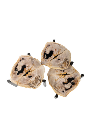 Petrified Wood Nested Coffee Tables (3) | Versmissen | Oroa.com