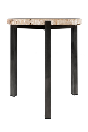 Petrified Wood Nested Coffee Tables (3) | Versmissen | Oroa.com