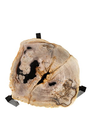 Petrified Wood Nested Coffee Tables (3) | Versmissen | Oroa.com