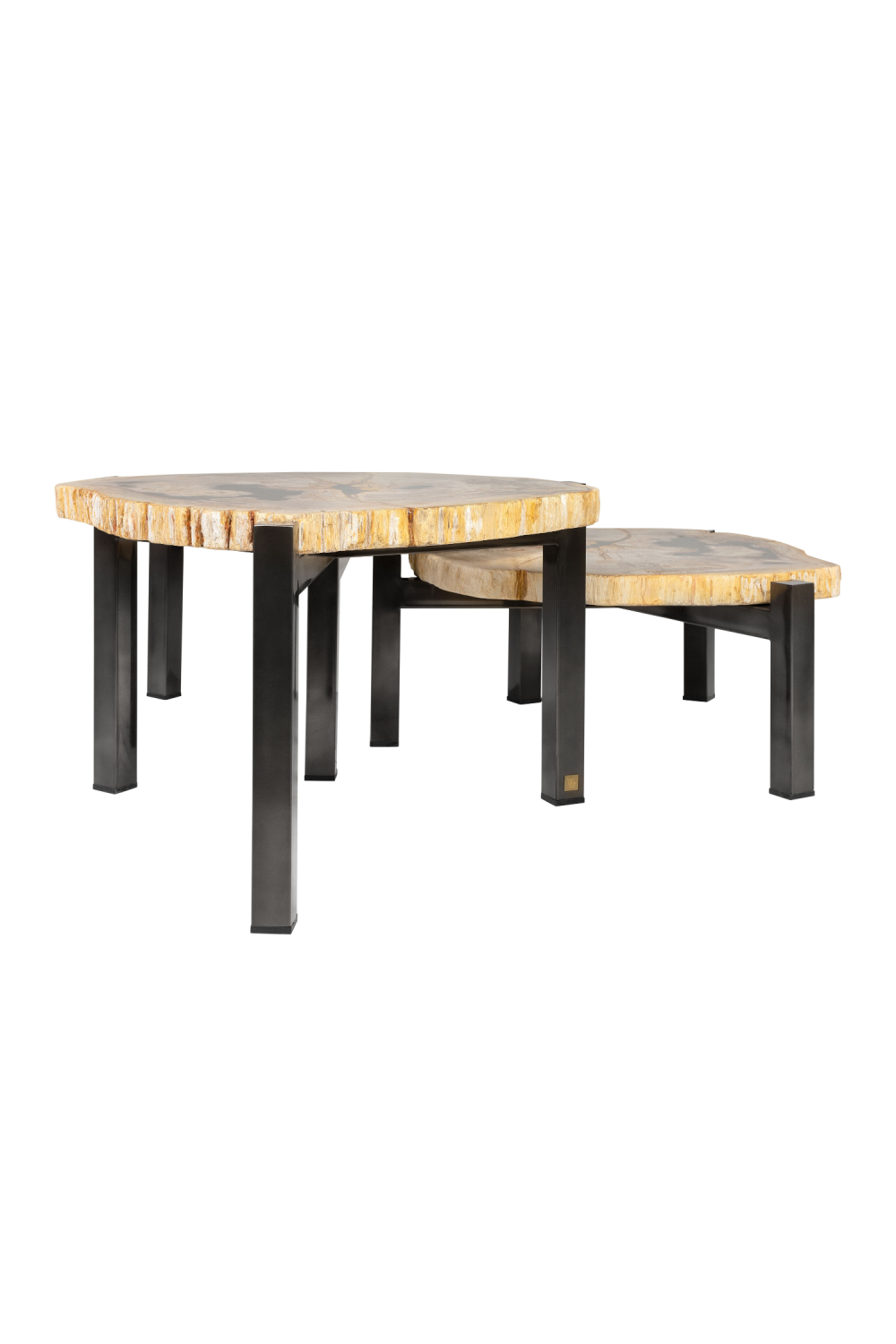 Petrified Wood Nested Coffee Tables (3) | Versmissen | Oroa.com