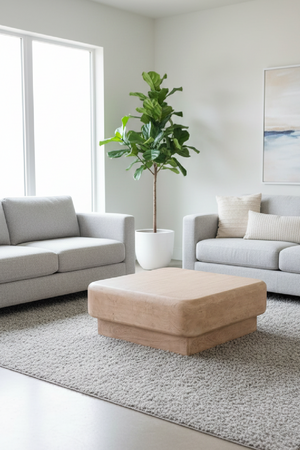   Natural Mango Wood Coffee Table | Oroa.com