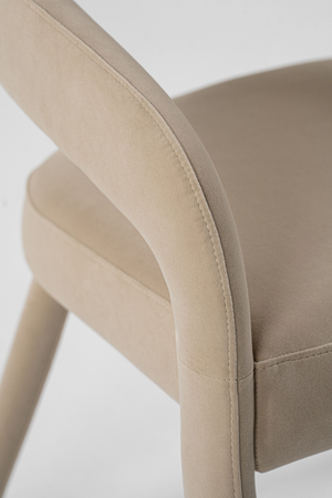 Fabric Upholstered Dining Chair | OROA Modern Mundra | Oroa.com
