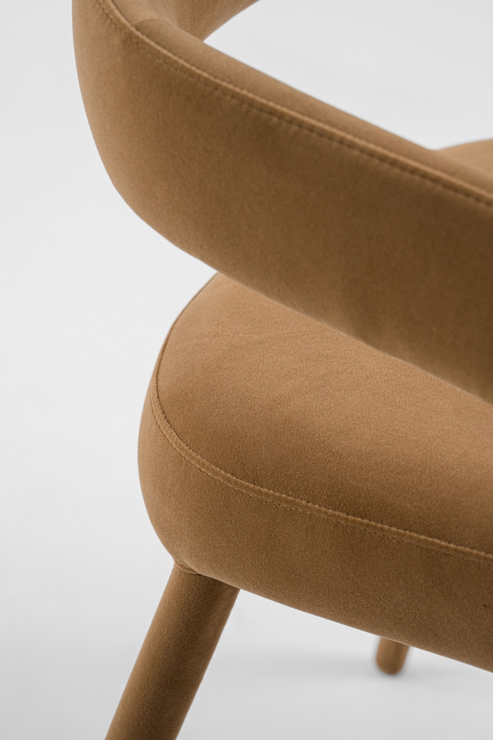 Fabric Upholstered Dining Chair | OROA Modern Mundra | Oroa.com