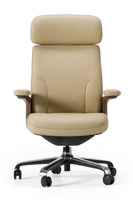 Leather Executive Office Chair | OROA Modern Johnson | Oroa.com