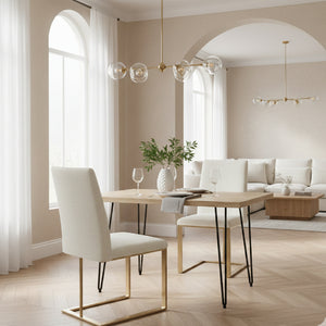 Cantilevered Minimalist Dining Chair | OROA Modern Frankie