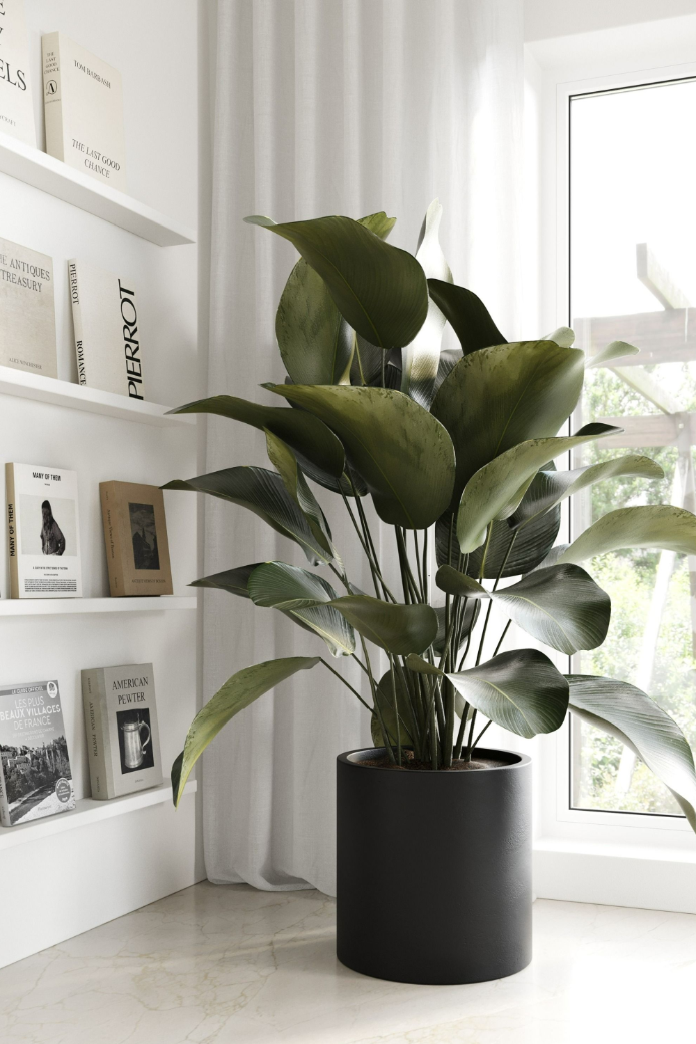 Black Concrete Planter | OROA Modern Hedley | Oroa.com