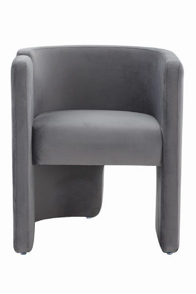Gray Velvet Accent Chair | OROA Modern Tirta | Oroa.com