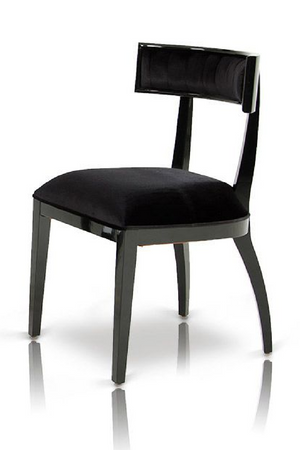 Black Dining Chair Set (2) | OROA Modern Alek | Oroa.com