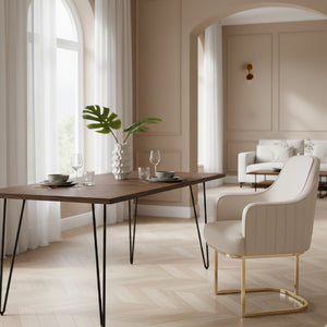 Gray Sloped-Back Dining Chair | OROA Modern Tyler