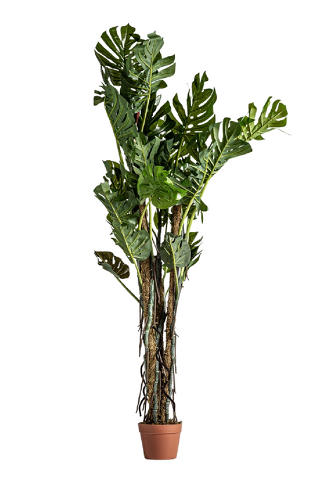 Green Artificial Plant | Vical Home Split Philo | Oroa.com