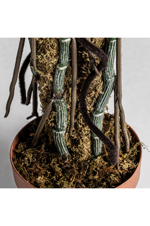 Green Artificial Plant | Vical Home Split Philo | Oroa.com