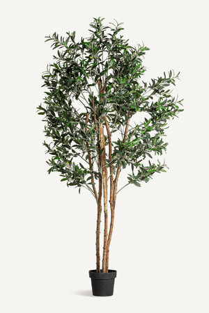 Green Olive Artificial Plant | Vical Home Olivo | Oroa.com