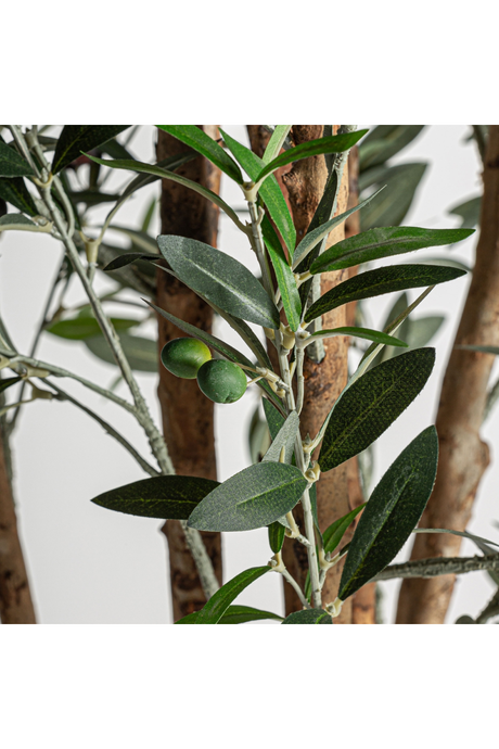 Green Olive Artificial Plant | Vical Home Olivo | Oroa.com