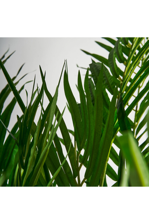 Artificial Green Palmera Plant | Vical Home | Oroa.com