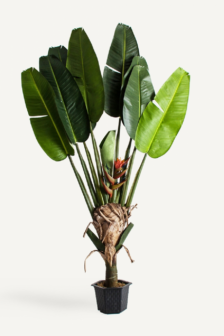 Artificial Bird of Paradise Plant | Vical Home | Oroa.com