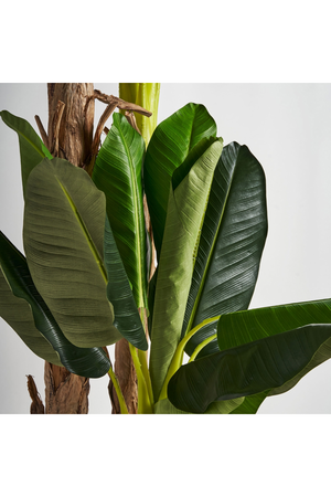 Artificial Banana Tree | Vical Home | Oroa.com