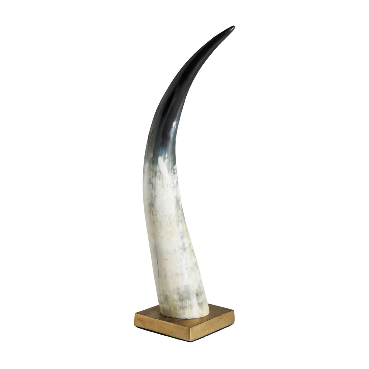   Two-Toned Horn Decor Figure | Oroa.com