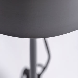   Black Iron Floor Lamp | Oroa.com