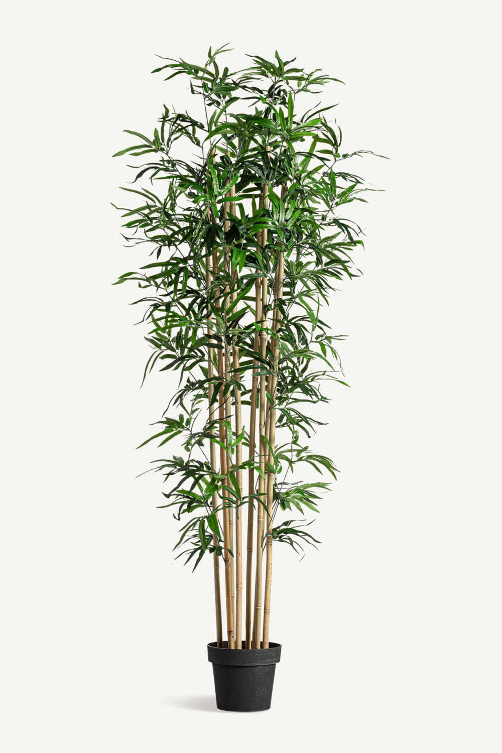 Artificial Perennial Plant | Vical Home Bamboo | Oroa.com