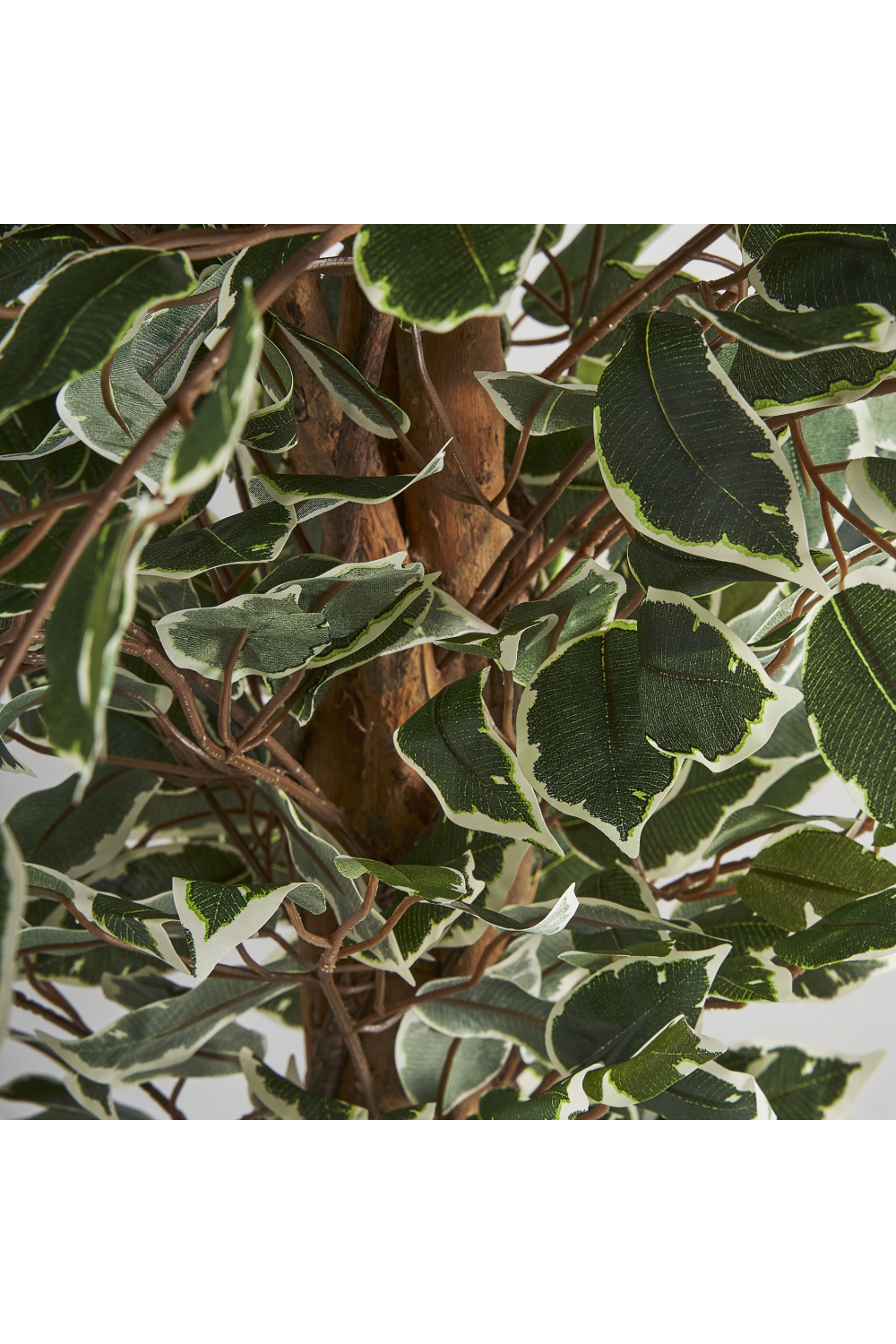 Artificial Leafy Tropical Plant | Vical Home Ficus | Oroa.com