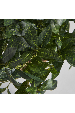 Mediterranean Artificial Plant | Vical Home Laurel | Oroa.com