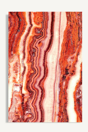 Coral Paper Art Print L | Vical Home Astanxantina | Oroa.com